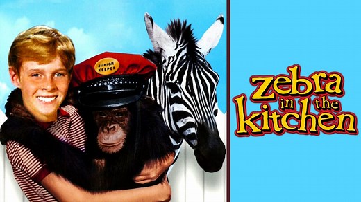 Zebra in the Kitchen - Movie - Where To Watch