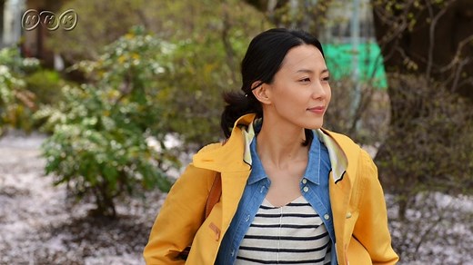 ドラマ10　はつ恋｜番組｜NHKアーカイブス