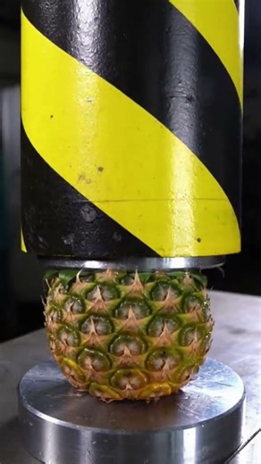 Hydraulic Press Crushing Pineapple with Yellow and Black Press Machine #pineapple #hydraulicpress