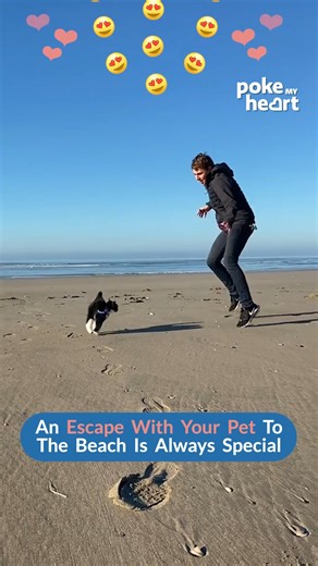 #Happiness is when you have your #pet as your #travel partner | Poke My Heart