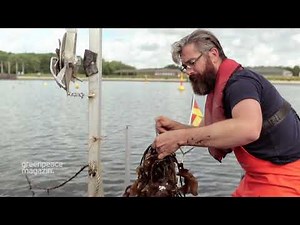 Nachhaltige Aquakultur: Die Muschelzüchter der Ostsee