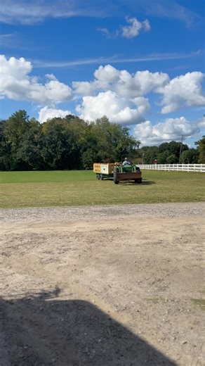 We all look forward to seeing you all tonight at the night time corn maze 7-9:30 your own flashlight! | Harvest Time Farm Stand