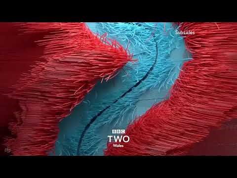 BBC Two Wales | 2018 Idents | 2018- (Updated)