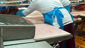 butchering of pork and beef carcasses production of minced meat from pork and beef meat in the stuffing machine of the meat processing plant