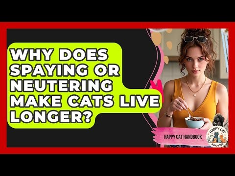 Why Does Spaying Or Neutering Make Cats Live Longer? - Happy Cat Handbook