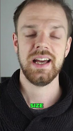 Labrador Body, Spaniel Soul? Meet the Springador!