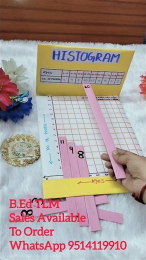 Histogram Maths Working Model.B.Ed TLM Sales Available Order WhatsApp..#ytshorts#b.Ed#tlm#maths#sale