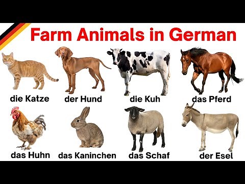 German Farm Animals | Learn Farm Animals Names in German | Learn German | German Vocabulary