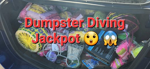 18K views · 829 reactions | DUMPSTER DIVING: 2 dumpsters full of brand new holiday items !! WoW watch what I find !! | Dumpster Dive King | Facebook