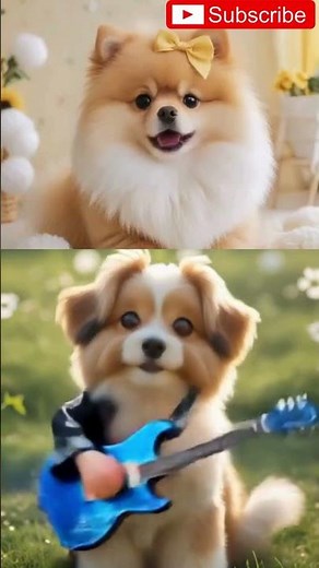 “Dog Dance Show on APT Song | Funniest Singing Dog Ever #apt #funnydogs #petdance #doglovers #dog