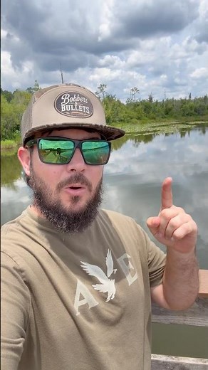 Bassfishing video, the Wamping skitter..
