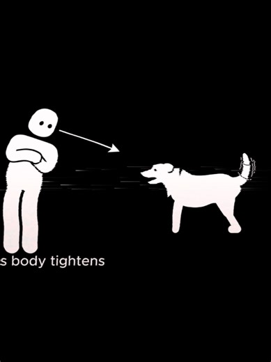 If You Ever Look Your Dog or Cat and Say Out Loud... #creepy #scary #analoghorror #creepypasta #fyp