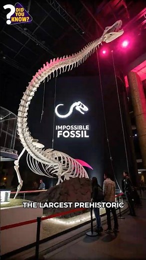 This 50-Foot Monster Snake Should NOT Exist