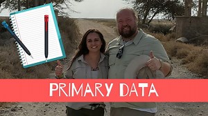 Primary Research Data Explained: The Pros & Cons of Marketing Research