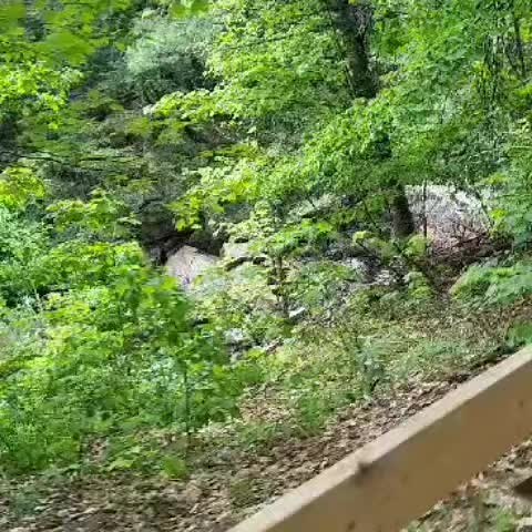 CYM (@cym1511)’s videos with son original - CYM