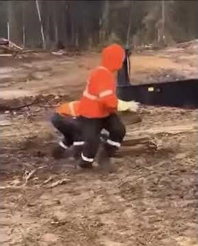 The art of looking busy and doing nothing