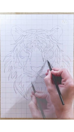Drawing TIGER #drawing #stencilart #stencildrawing #stencildrawing #tigerdrawing #tigerart