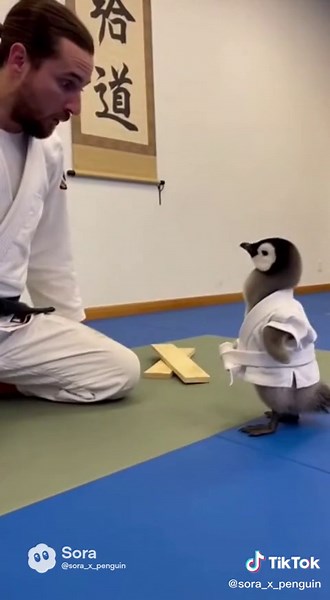 😱 Penguin have Power in voice 🐧 #foryoupage #fyp #penguin #power #soraai
