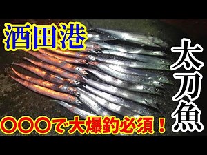 Tohoku, Japan! Shore cutlassfish catches using ◯◯◯! [Yamagata Prefecture]