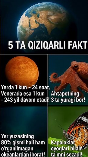 Qiziqarli Faktlar Dunyo haqida faktlar 1 qism