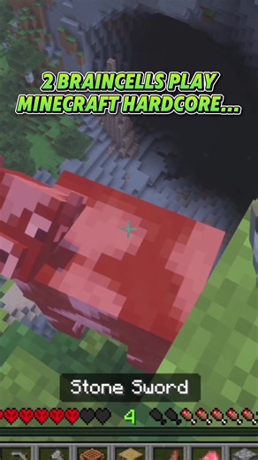 Exploring Minecraft: Distractions and Discoveries