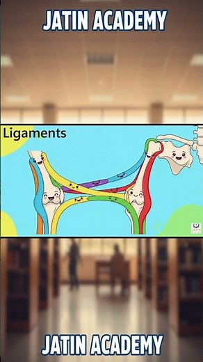 Tendon Ligaments & Cartilage Explained 🦴 | Easy Science Shorts| Human Skeleton| Science for Kids