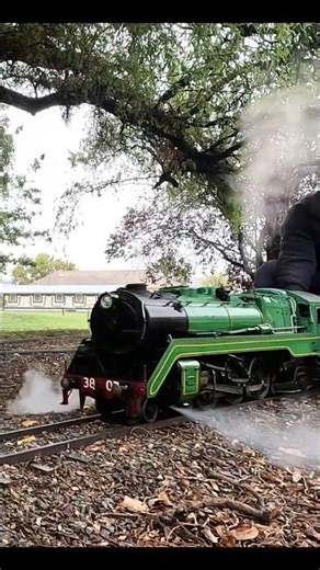 5" Inch Gauge Live Steam Engine - NSWGR C38 Class