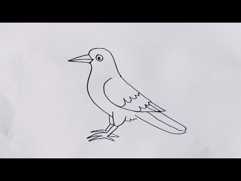 Crow drawing easy/How to draw a crow easy drawing step by step ‪@JSdrawing‬