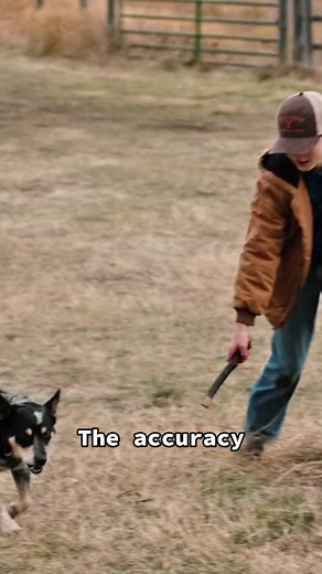 Hard to argue with Tate’s logic. #YellowstoneTV | tate yellowstone