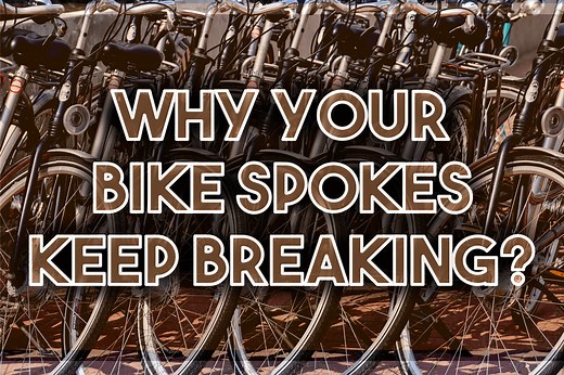 Why Your Bike Spokes Keep Breaking | BicycleUniverse.com