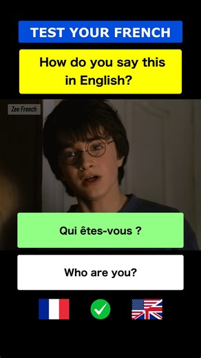Zee French on Instagram: "Test Your French With Harry Potter ✪ Part 1 🇫🇷 #LearnFrench ✅"
