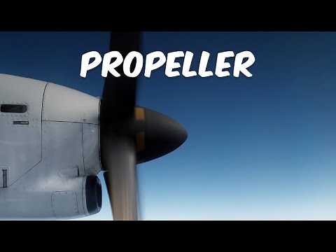 Unveiling the Mechanics Behind Thrust Generation