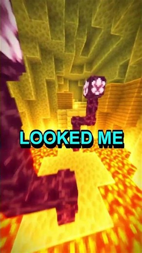 Don’t miss this moment