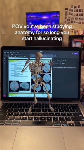 Anatomy is actually gonna be the death of me #fyp #usask #physio #anatomy #skeleton