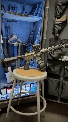 Aero Precision EPC9 AR9, SB Tactical SBA3, Vortex SPARC Red Dot, Strike Industries Curved Fore Grip