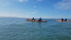 32 reactions | Our TENTH season of Whale Watching Tours begins March 1st in Trinidad California! Whale Watching Tours run through May with peak migration and best odds of spotting happening generally between April 15-May 15. No experience required. All ages and abilities welcome. All gear and guides included. Visit kayaktrinidad.com for registration, schedules, & info. SEAS THE DAY! | Kayak Trinidad | Facebook