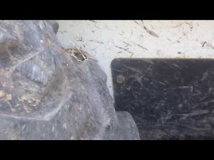 Bobcat 751 Right Drive Motor Hoses