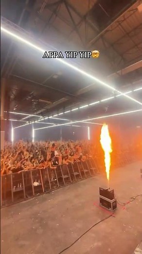 Appa Yip Yip 🖤 #schranz #techno #hardtechno #technomusic #acidtechno #rave #raveparty #technoparty