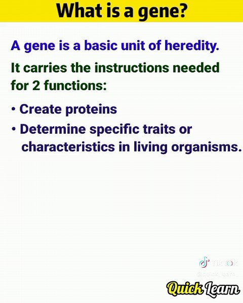 QL.Biology on TikTok