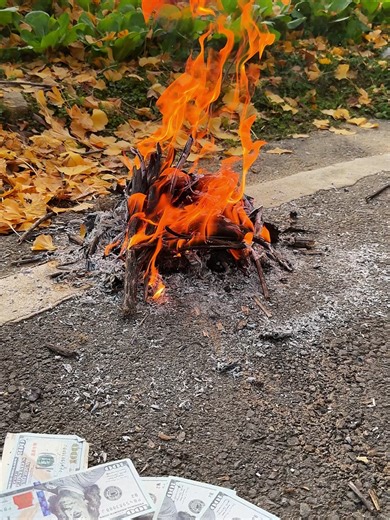 Secure Your Cash with a Reliable Safe Box