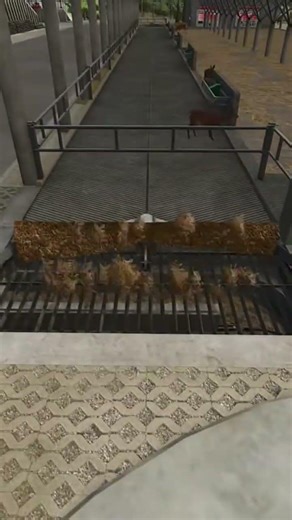 This Barn Cleans Itself... Automatic manure System!