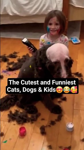 😍 The Cutest and Funniest Cats, Dogs & Kids Moments! #cats #dogs #ytshorts