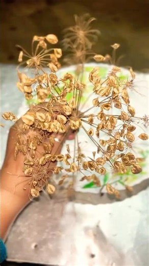 NEPALI TRADITIONAL ACHAR |CHIMPHING KO ACHAR | HOGWEED CHUTNEY |CHICKEN MOMO CHUTNEY |ACHAR RECIPE|