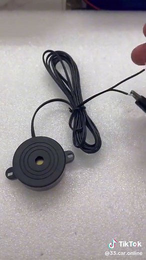 Universal 12V Car Alarm Buzzer for Enhanced Security