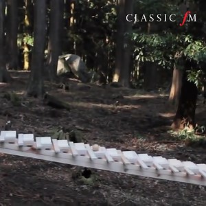1.6M views · 10K reactions | Deep in a Japanese forest, a wooden xylophone plays the music of JS Bach. This is the most beautiful video. | Classic FM | Facebook