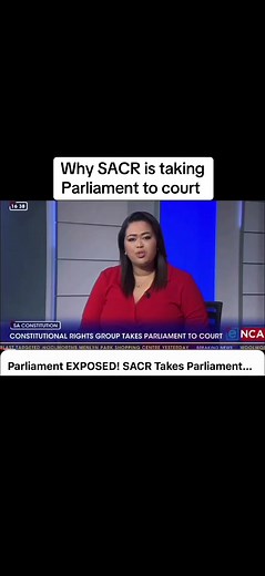 My interview on eNCA about our plans to take Parliament to court. #law #constitution #southafricatiktok🇿🇦