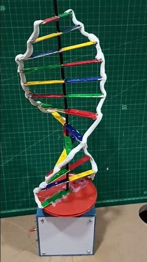 DNA model #diy #schoolproject #science #sciencetricks