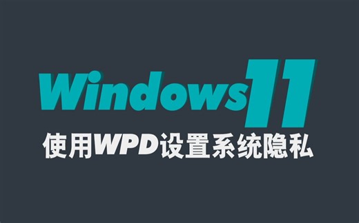 【Cloud】Windows 11 学习笔记——使用WPD设置系统隐私