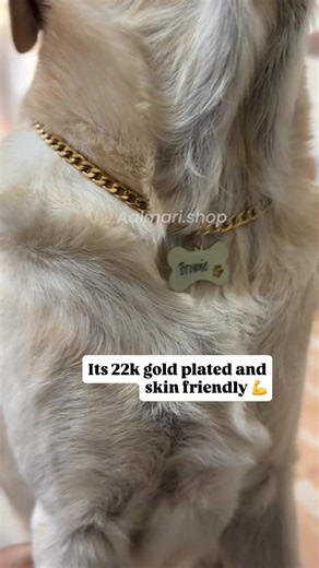 488 reactions · 3 comments |  Name it. Wear it. Flaunt it!  Give...