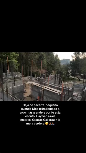 CARRILLO CONSTRUCTION (@carrilloconstruction21)’s video of gallos